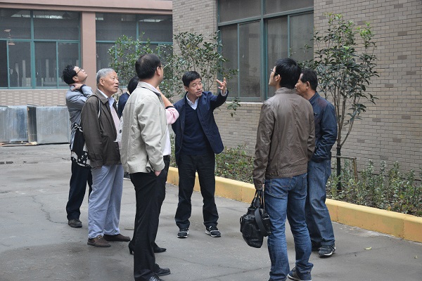 ���鴦���ڻ����