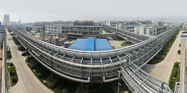 �㽭ҽҩ��������� ��˾�ϰ�ʡ����ɫ����